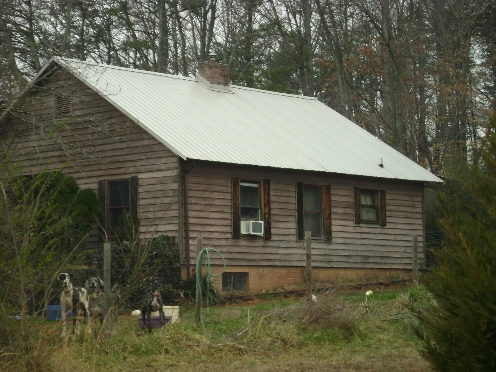 White metal roof on an old wood sided farmhouse, from a Asphalt Shingle Roof Repair job in Flagler Beach